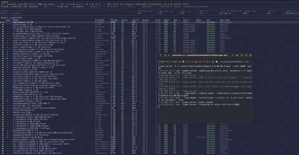 llmfit terminal interface showing a detected llama-server provider alongside the shell window where the server was started