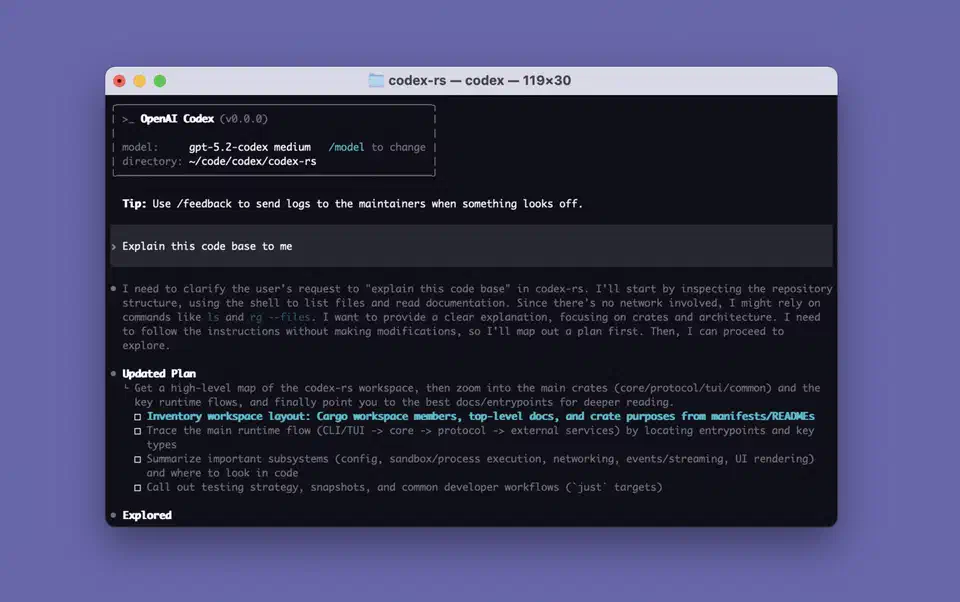 Codex CLI terminal interface splash screen showing the agent running in a terminal