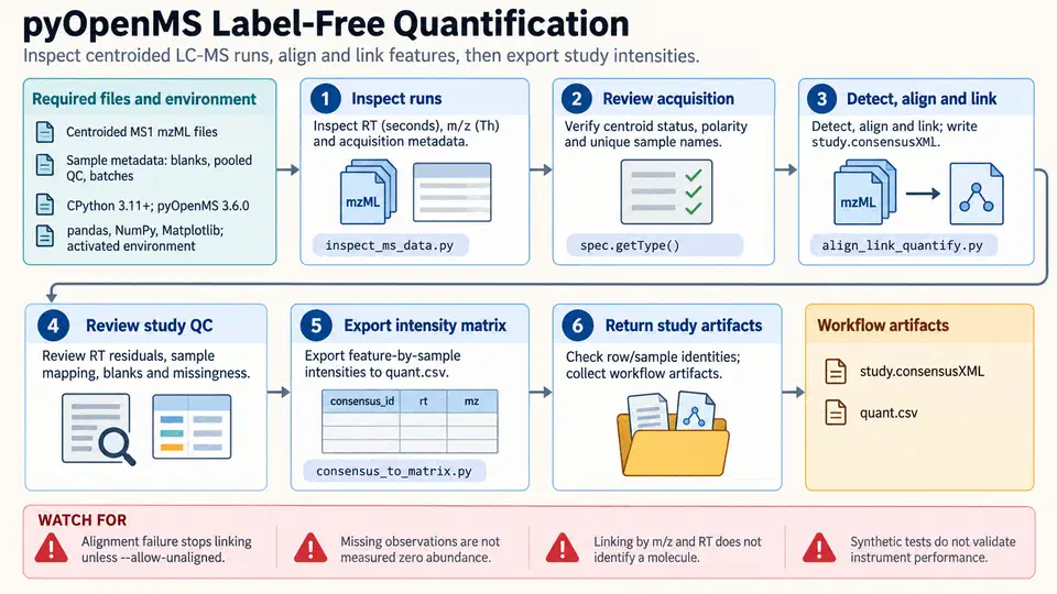 Six-step pyOpenMS label-free quantification workflow from inspecting mzML runs to exporting an intensity matrix, with a red watch-for row listing four pitfalls