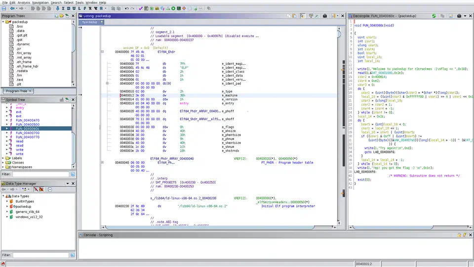 Ghidra CodeBrowser with the ELF listing in the centre pane, the reconstructed C of FUN_0040060c in the Decompile pane on the right, and unnamed FUN_ entries in the Symbol Tree