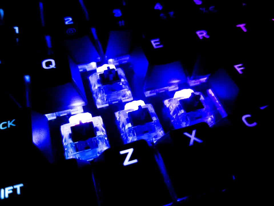 Multiple MX-compatible mechanical keyboard switches arranged together, showing various switch types side by side