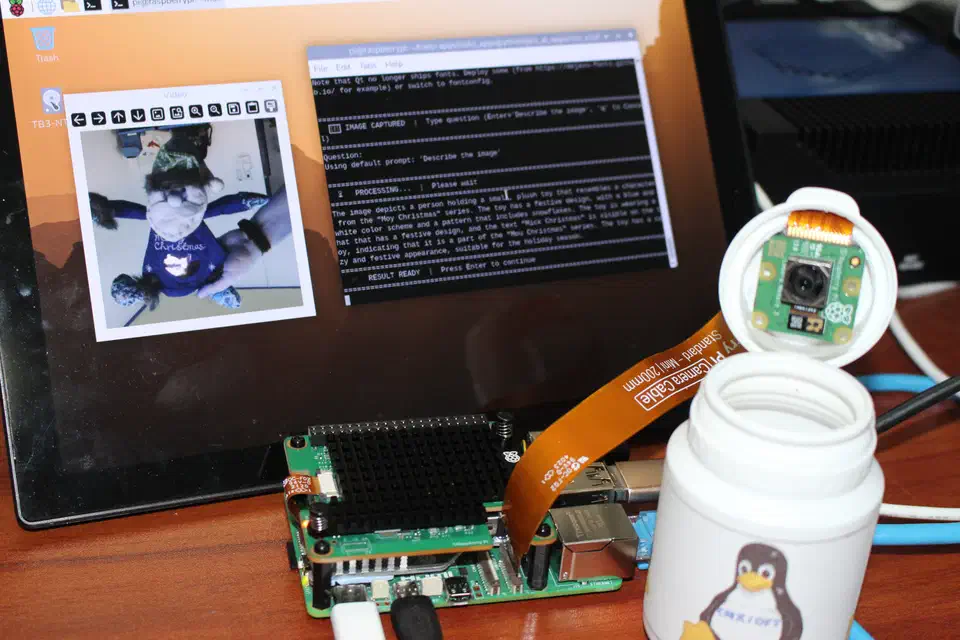 Vision language model chat interface running on the Raspberry Pi AI HAT+ 2 with Hailo-10H, showing a captioned image response