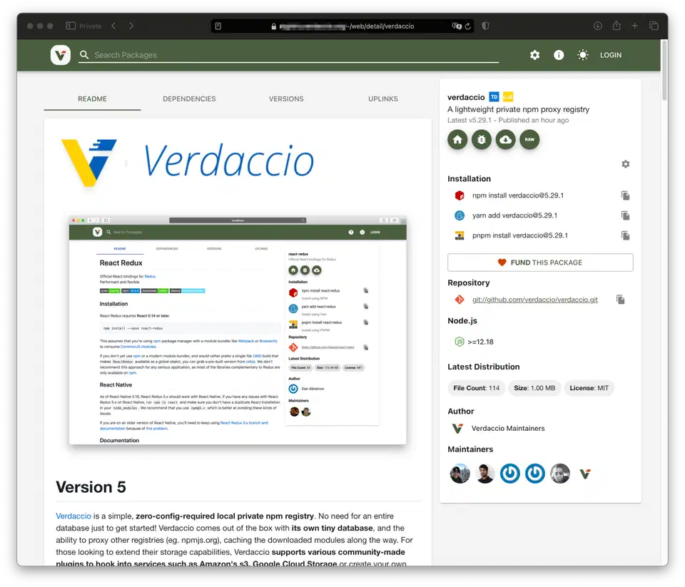 Verdaccio web UI showing the package browser with a list of published packages