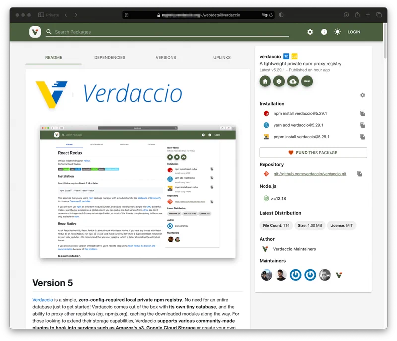 Verdaccio web UI showing the package browser with a list of published packages