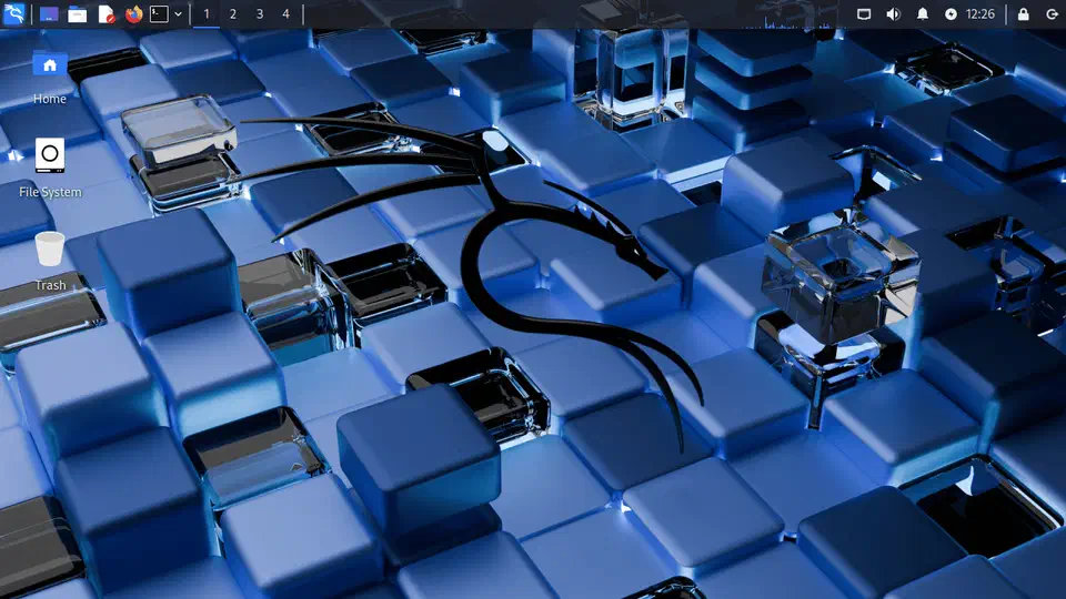 Kali Linux 2025 XFCE desktop showing the default dark theme and panel layout