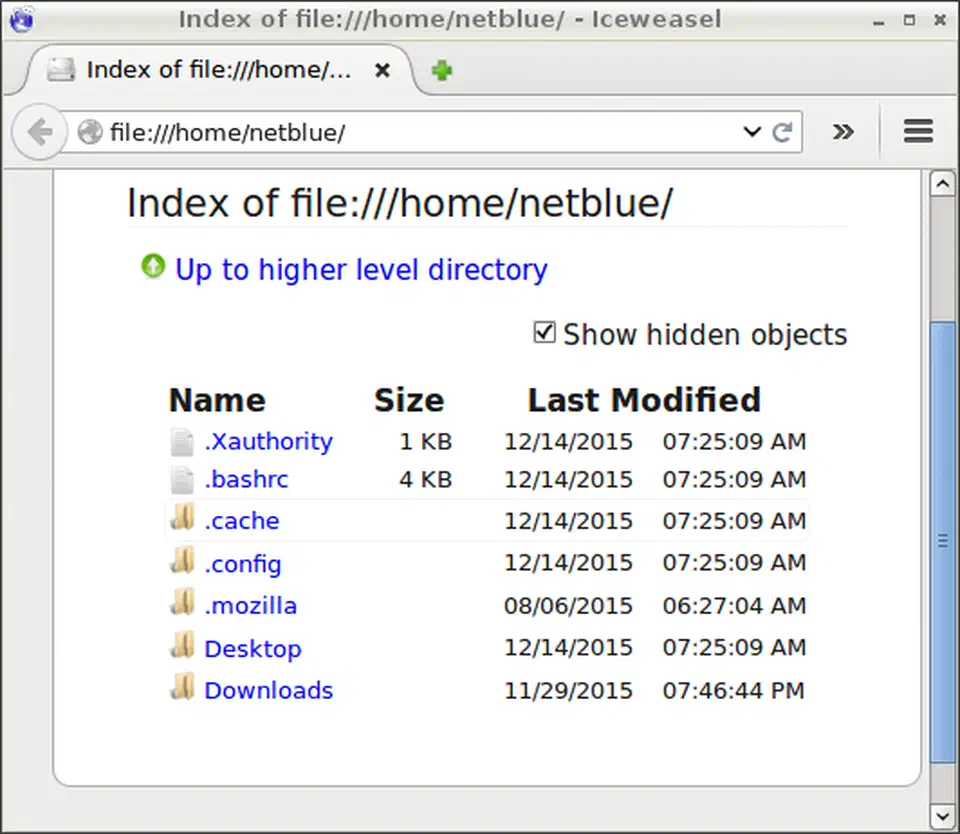 Firejail sandboxed home directory as seen by a browser process