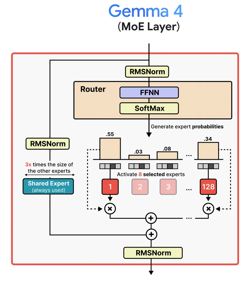 Gemma 4 shared expert architecture with one always-active shared expert and 8 routed experts per token