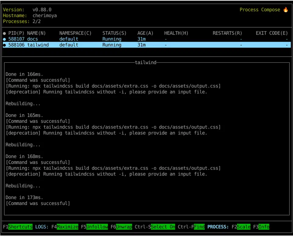 devenv process-compose TUI showing running services with logs, status indicators, and restart controls