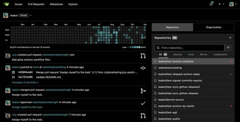 Gitea repository dashboard showing code browser, branch selector, and recent commits