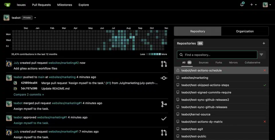 Gitea web interface showing the repository dashboard with code hosting, issues, and pull request management