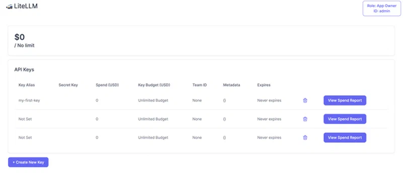 LiteLLM admin dashboard showing the virtual key creation interface with model access and budget controls