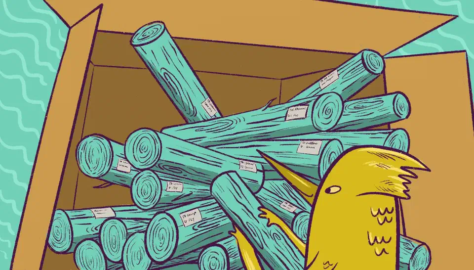 LiteFS distributed SQLite replication overview showing primary and replica nodes