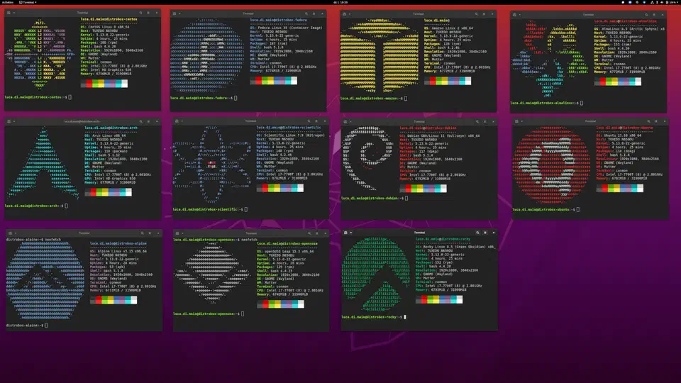 Terminal screenshots showing Distrobox running multiple Linux distributions side by side from the same host
