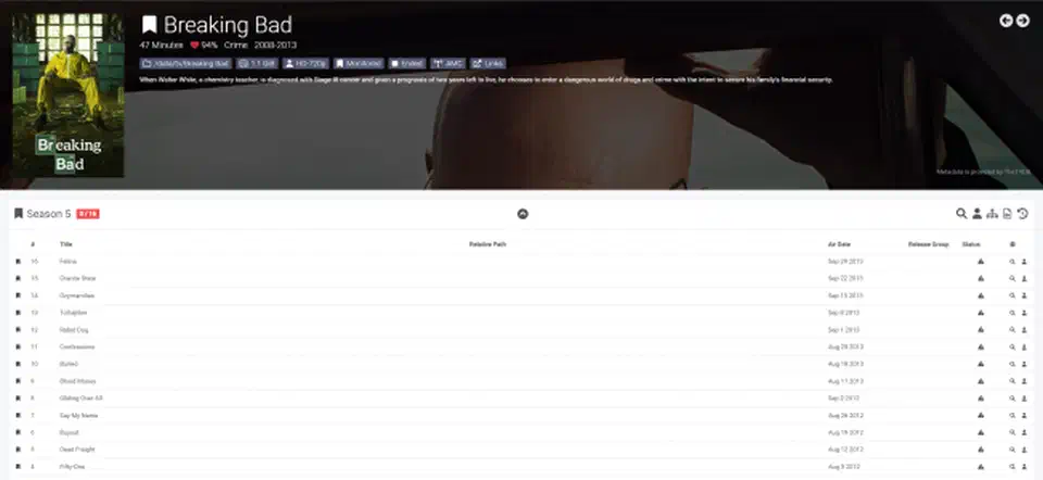Sonarr series detail view showing seasons and episode list with file status
