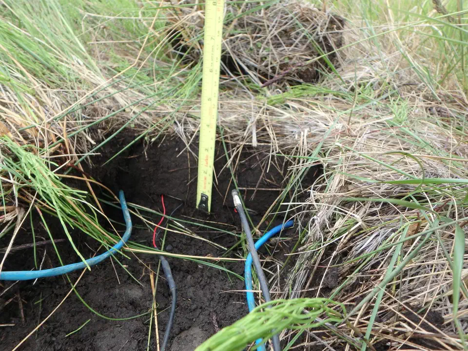 Two soil sensor probes pushed into garden soil beside a plant