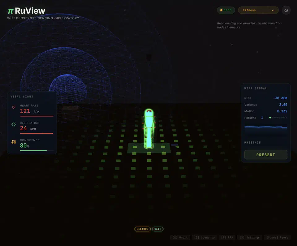 RuView Observatory dashboard showing a real-time 17-keypoint pose skeleton reconstructed from WiFi CSI, with the setup guide panel