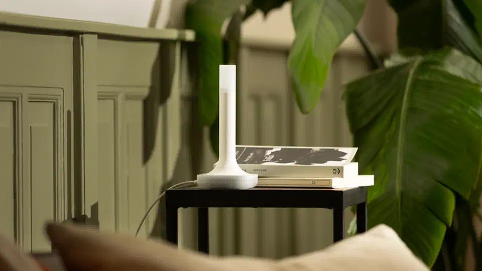 Home Assistant Connect ZBT-2 USB dongle standing upright on a side table beside books and a potted plant